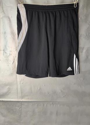 Шорты мужские adidas