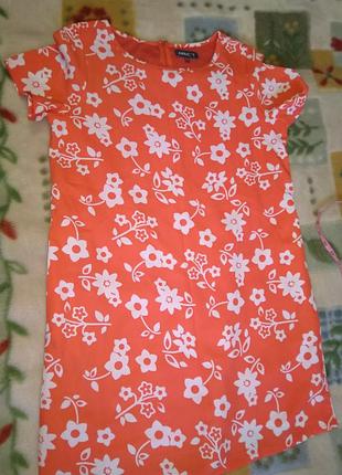 Сукня/apricot 8