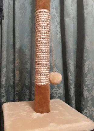 Когтеточка.