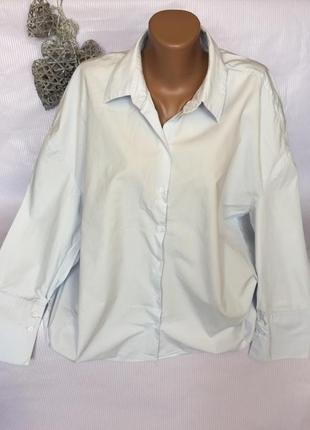Ніжна стильна сорочка вільний крій