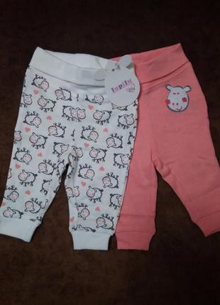 Набор штанов, ползунков для новорожденных lupilu, 50-56 см1 фото