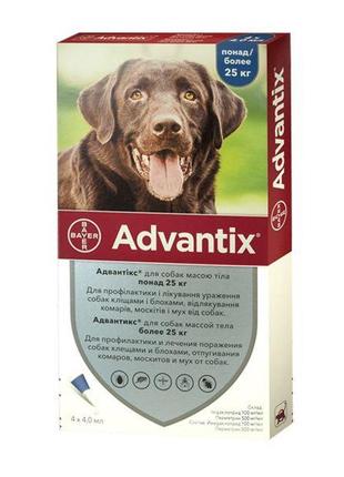Адвантікс (advantix) краплі від бліх та кліщів для собак вагою до 25-40 кг 4 пипетки х 4 мл
