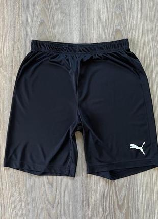 Мужские спортивные шорты nike1 фото