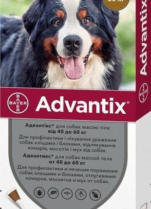 Адвантікс (advantix) краплі від бліх та кліщів для собак вагою  40-60 4 пипетки х 6 мл