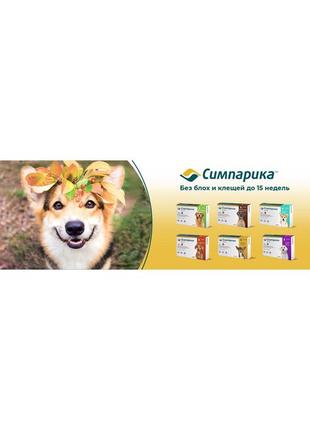 Симпарика таблетки zoetis simparica для собак масою 2,5-5 кг | таблетки від бліх і кліщів  3 таблетки8 фото