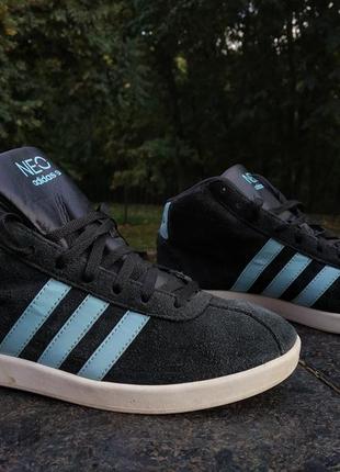 Кросівки adidas neo