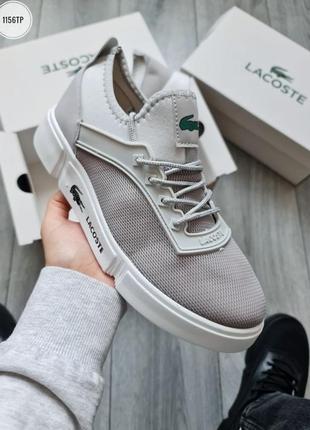 Высокие кожаные кроссовки цвета топленого молока lacoste - ampthill 117 1  cam (natural) 43 р. — цена 760 грн в каталоге Кроссовки ✓ Купить мужские  вещи по доступной цене на Шафе | Украина #68380827