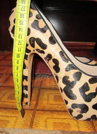 Туфли леопард с меха нерпы 39 р1 фото