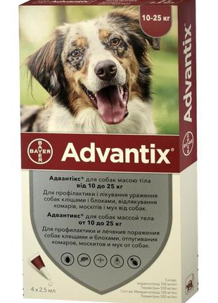 Адвантикс (advantix) капли от блох и клещей для собак весом 10-25 кг, 4x2,5 мл
