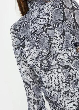 Сіра сукня прямого крою з шифоновою хустиною з переду , черепаховим поясом зі зміїним принтом4 фото