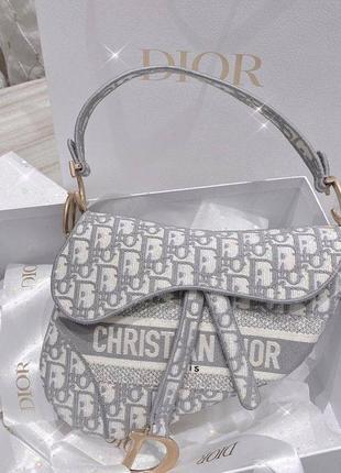 Сумка в стиле dior 3