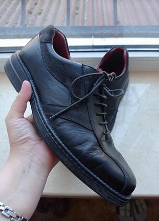 Кожаные шорты clarks