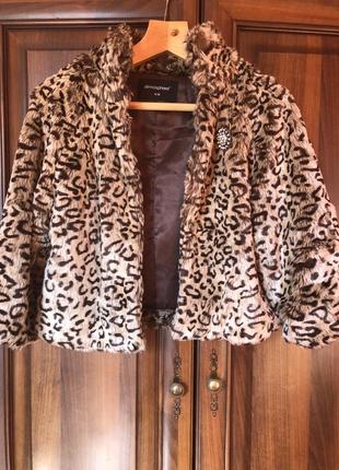 Леопардова болеро