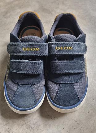 Кеди geox