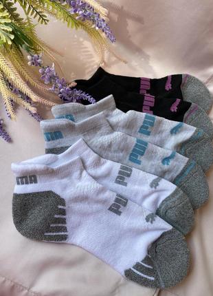 Шкарпетки носки жіночі