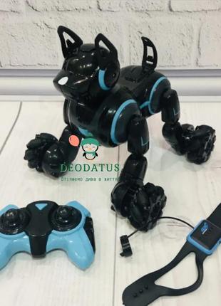 Інтерактивний собака робот на радіокеруванні жестами на акумуляторі 666-800a