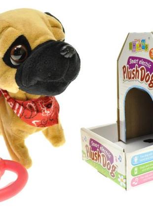 Собака мопс на поводке интерактивная ходит и виляет хвостиком cl1721c-d собачка со звуковыми эффектами