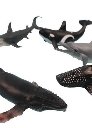 Ігровий набір риб (дельфін, акула, кит, касатка 6 шт) hy8-0065 фото
