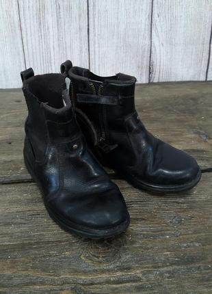 Чобітки шкіряні timberland 6