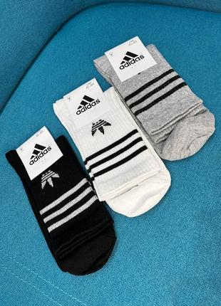 Шкарпетки чоловічі-жіночі adidas