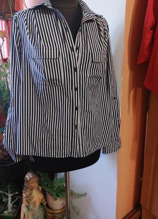 Рубашка блуза