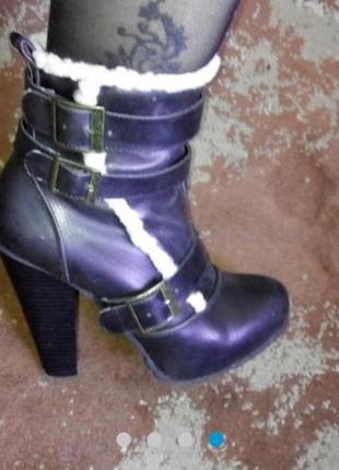 Півчобітки