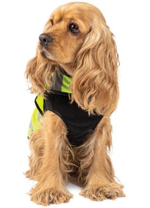 Жилет для тварин pet fashion "warm yellow vest" l (4823082417247)8 фото