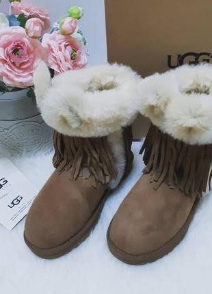 Ugg darlala classic beige (1100550) угги с ушками бежевые оригинал натуральная кожа.6 фото