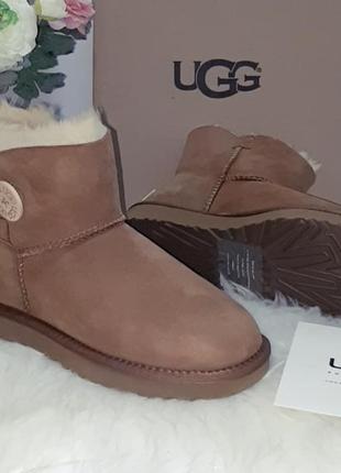 Ugg mini bailey button ii brown (1016422) угги коричневые с пуговицей9 фото