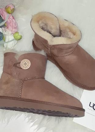 Ugg mini bailey button ii brown (1016422) угги коричневые с пуговицей4 фото