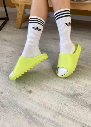 Жіночі шльопанці adidas yeezy slide glow green / smb