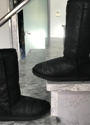 Ugg chukkaboots угги оригинал черные в пэйсли