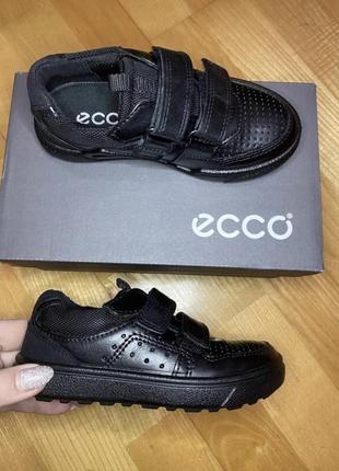 Кожаные туфли ecco