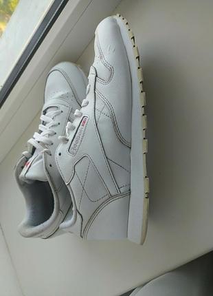 Кросівки reebok classic