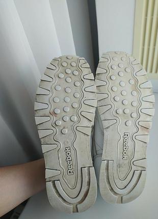 Кросівки reebok classic