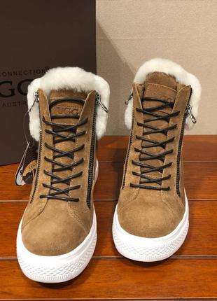 Ugg australia оригинал. угги женские ботинки коричневые со скрытой подошвой (каблуком)9 фото