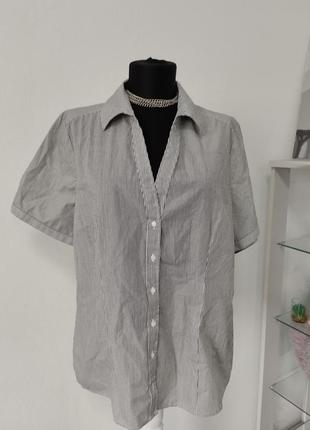 Сорочка в актуальну полоску ,котон
