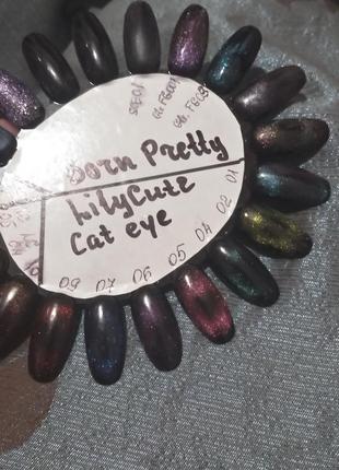 Гель лак lilycute котяче око #04 5мл