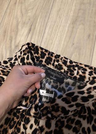 Новые брюки размер s m вискоза брюки летние лосины леопард2 фото