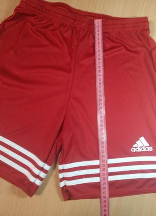 Фирменные шорты adidas5 фото