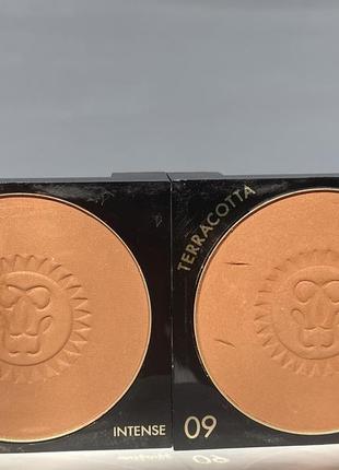 Пудра-бронзатор для обличчя guerlain terracotta moisturizing bronzing powder long lasting3 фото
