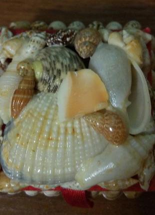 Шкатулка из ракушек