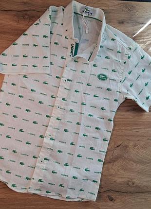 Новая рубашка lacoste