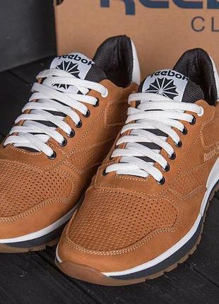 Мужские летние кроссовки перфорация reebok classic brown1 фото