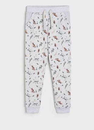 Трикотажные брюки с принтом в котиках.sinsey