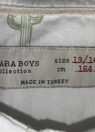 Белая рубашка в кактус zara boys3 фото