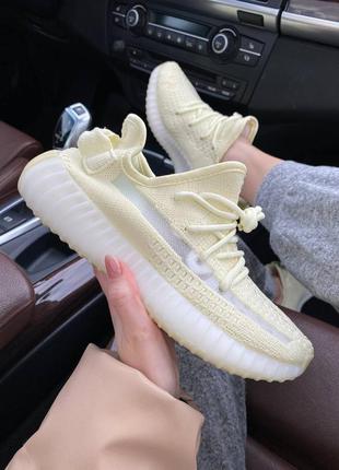 Жіночі adidas yeezy boost 3505 фото