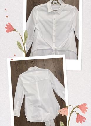 Стильна базова біла сорочка mango із зав'язками на талії блуза блузка вузол4 фото