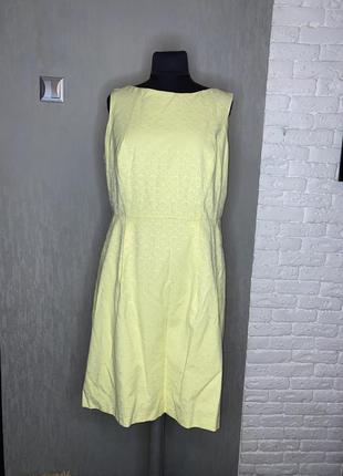 Сукня міді плаття великого розміру f&f, xxxl 54р