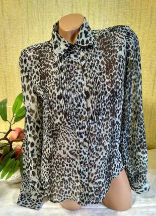 Стильна блуза в леопардовий принт